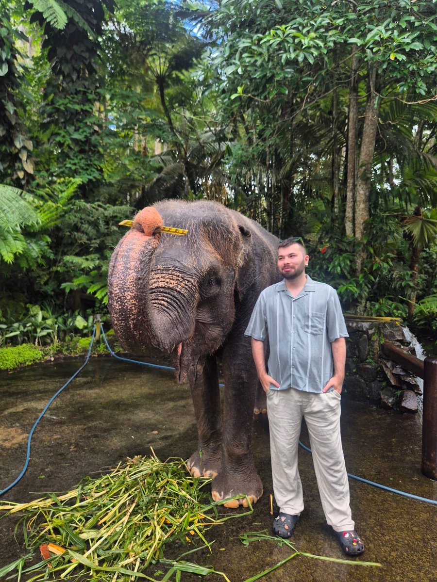 Kaan Çekli tweet media