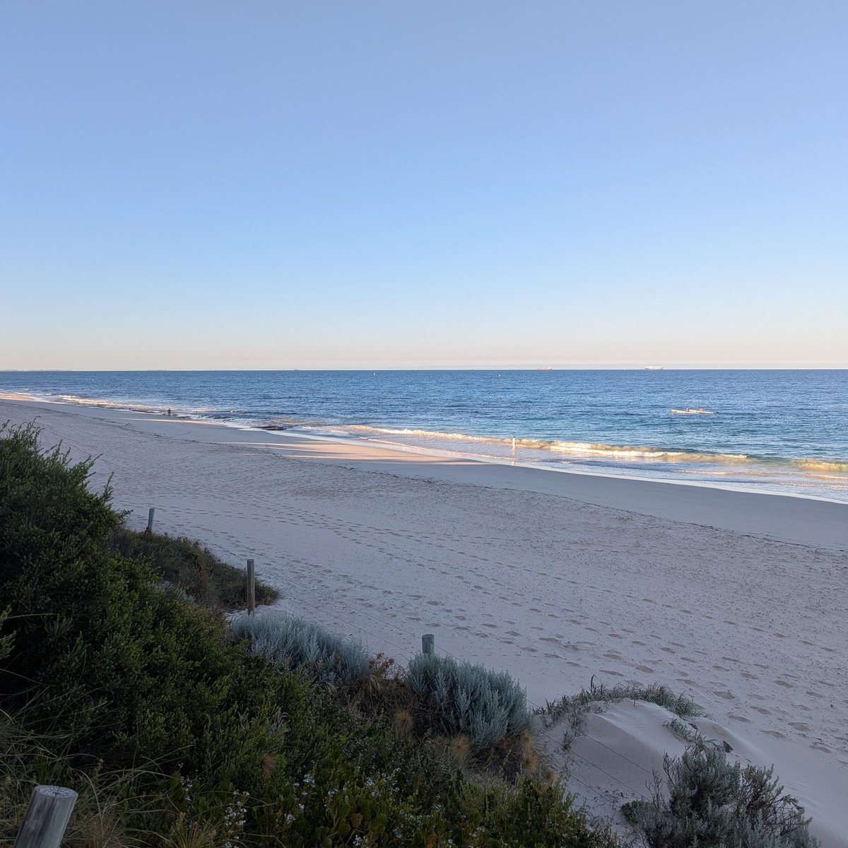 ailsa 🌺 tweet media