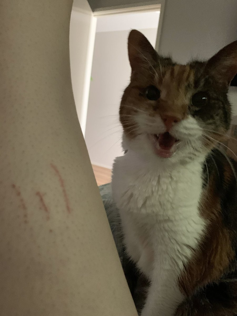 Ser Winter tweet media