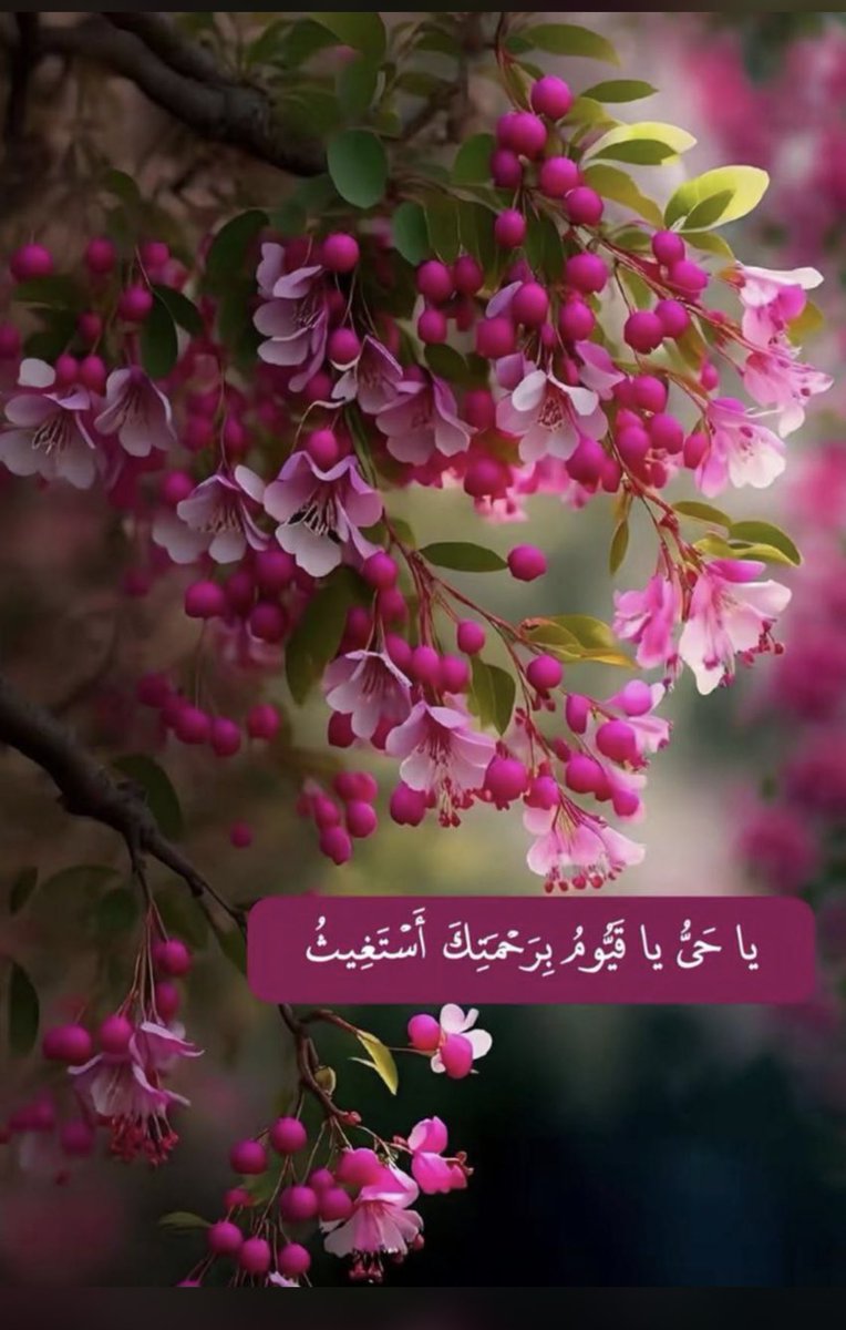 #صباح_الخير_والسعاده