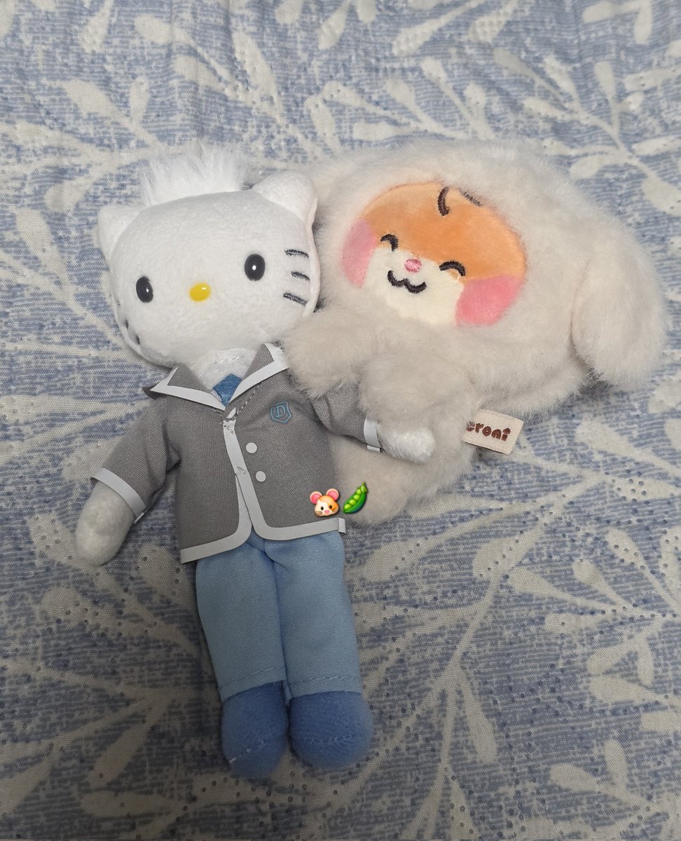 hamslighting's tweet image. 난빛나 성한빈 드뎌 와따💙