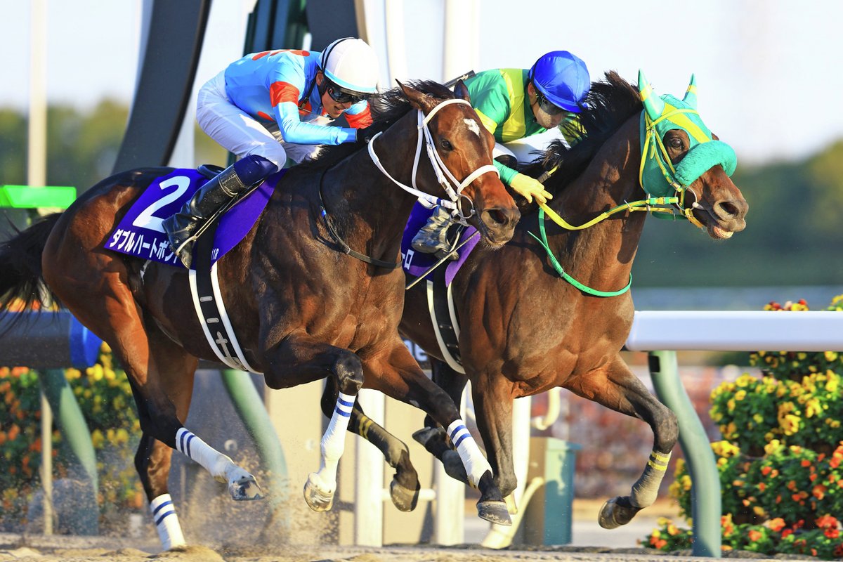 チャンピオンズC】4歳世代から“砂の怪物”がまた1頭―ダブルハートボンド