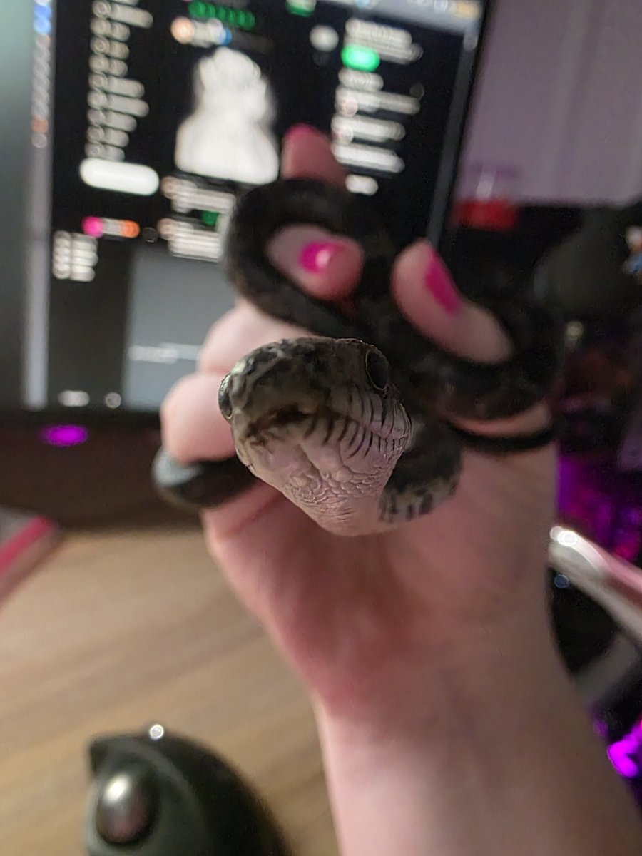 Omg Burger is so cute