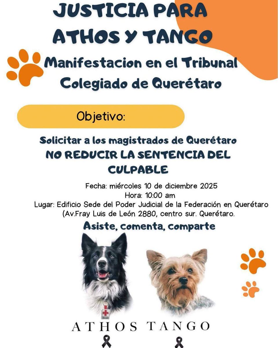 ile0719's tweet image. Justicia para #athosytango #Queretaro
