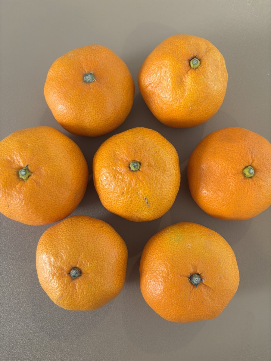 しなもん@平SFC✈ (@CinNaMonnSan06) / Posts / X