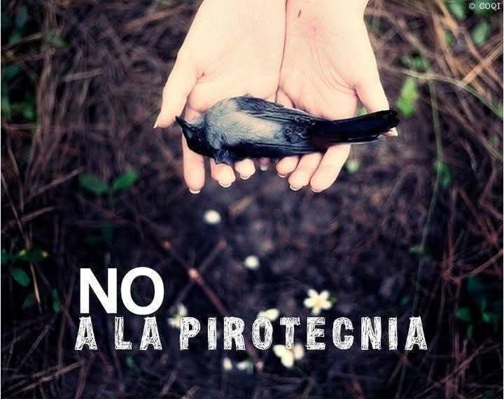 ⚠️ #NO A LA #PIROTECNIA 🧨🚫

La pirotecnia genera taquicardia, temblores, falta de aire, aturdimiento, nauseas, pérdida de control, miedo y muerte. Aves, perros, caballos, gatos y otros animales sufren la pirotecnia. Sé responsable: NO LA USES.