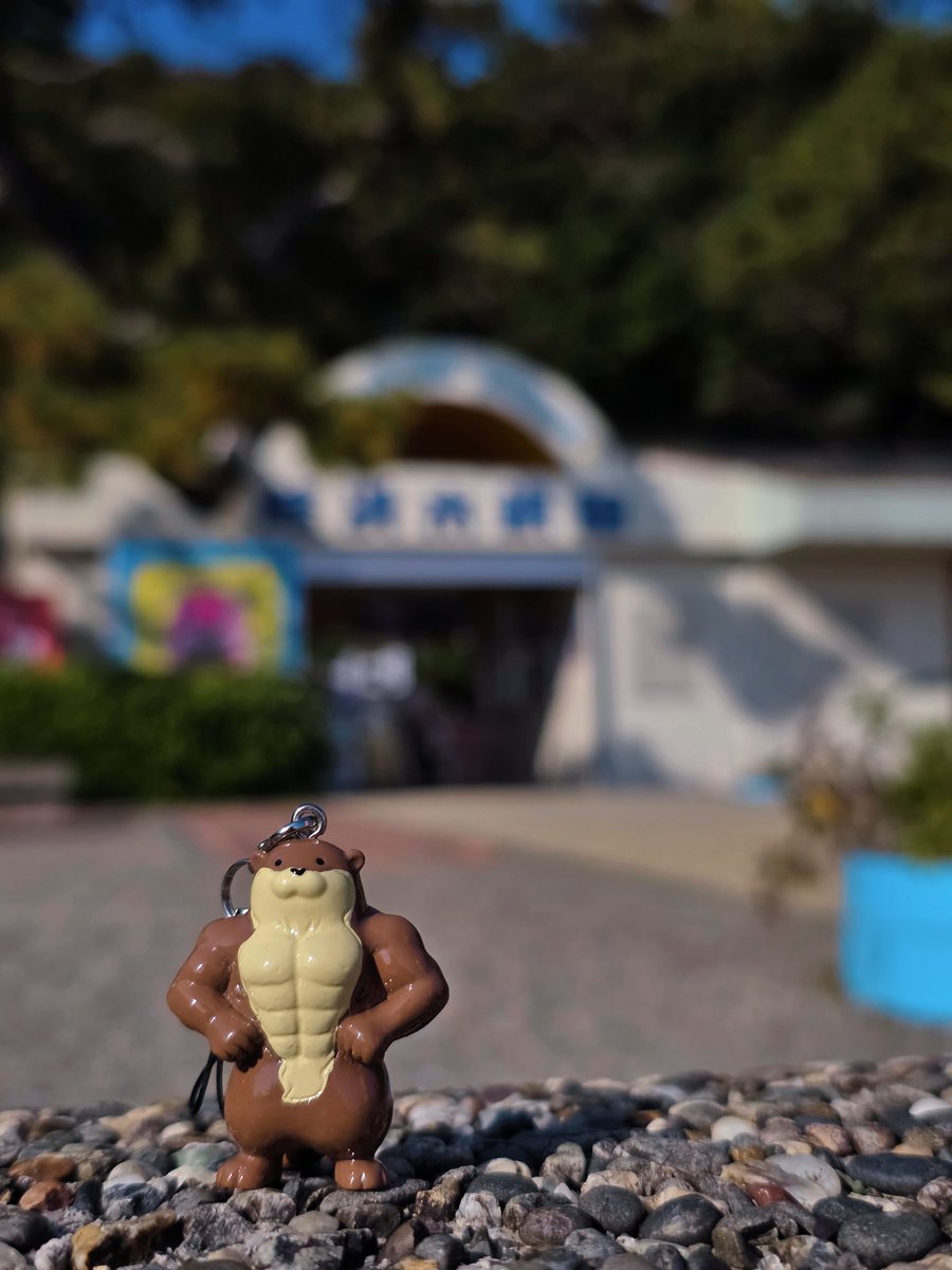 うっちー🍥 (@fujisan79) / Posts / X