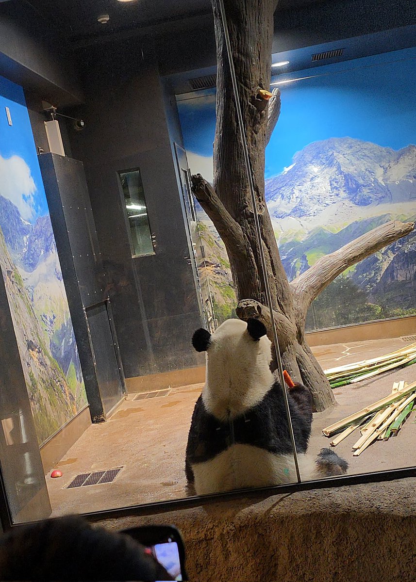 ゆかたん (@yu_ka7493) / Posts / X