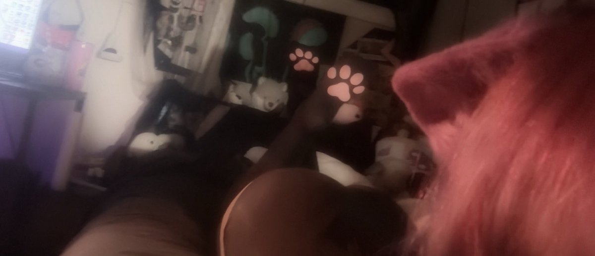 ⋆⁺₊⋆ ☾𖤓 ⋆⁺₊⋆ tweet media