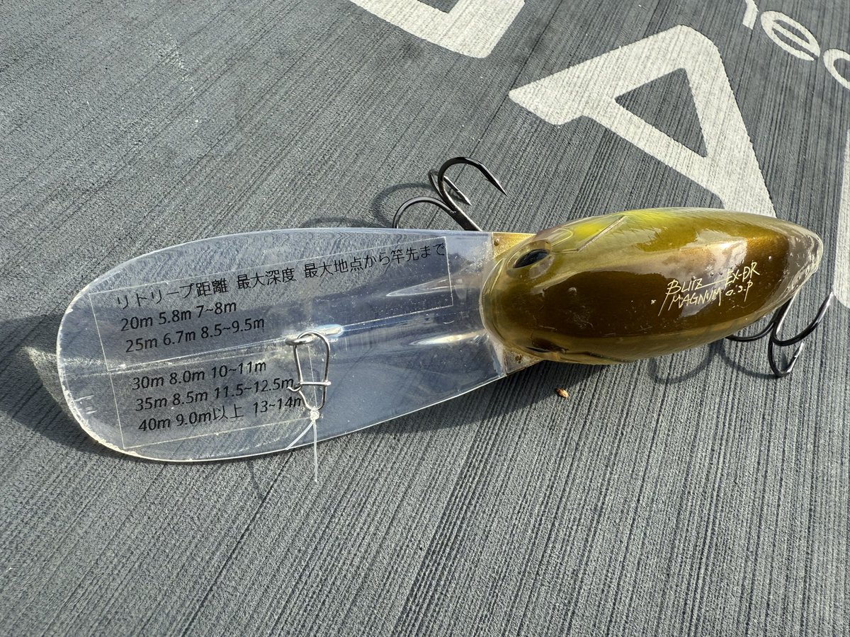 Toshinari Namiki並木敏成 (@TNamikiOfficial) / Posts / X