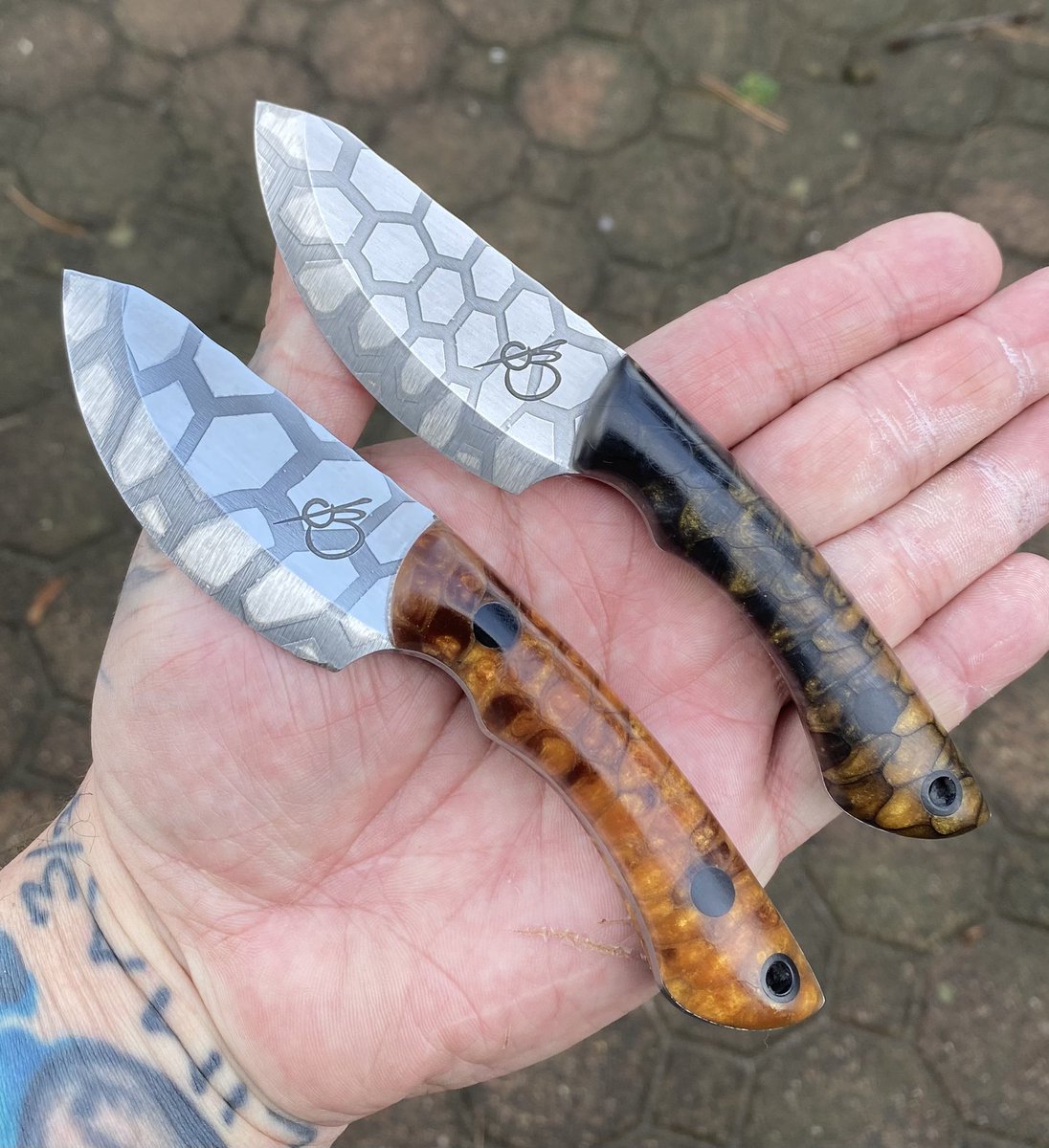 Johnny Moline 🐊 🌴🦩🦎 tweet media