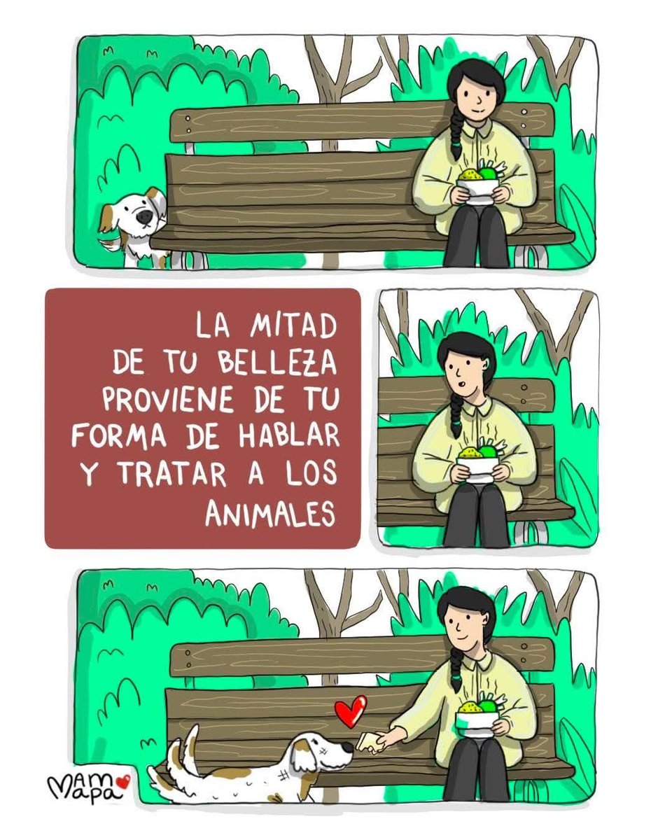 Dilo con perritos (@diloconperritos) on Twitter photo 