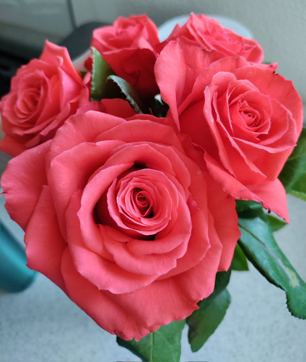 adi8a's tweet image. 