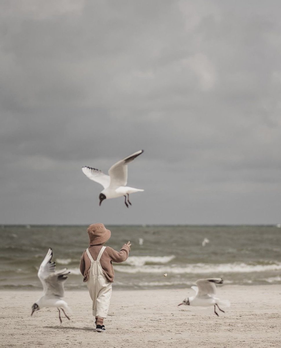 #صباح_الخير_والسعاده 
#صباحات_المطر 

"وغداً تُزهرُ في البيداء أُمنيتي , 
وأحومُ طيراً في سماوات الفرح"