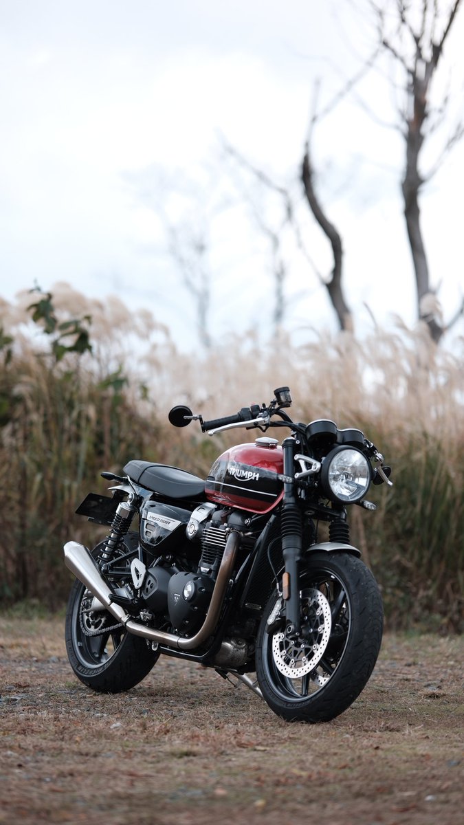 runjun235's tweet image. 出雲のいい写真スポット
教えてください🫡