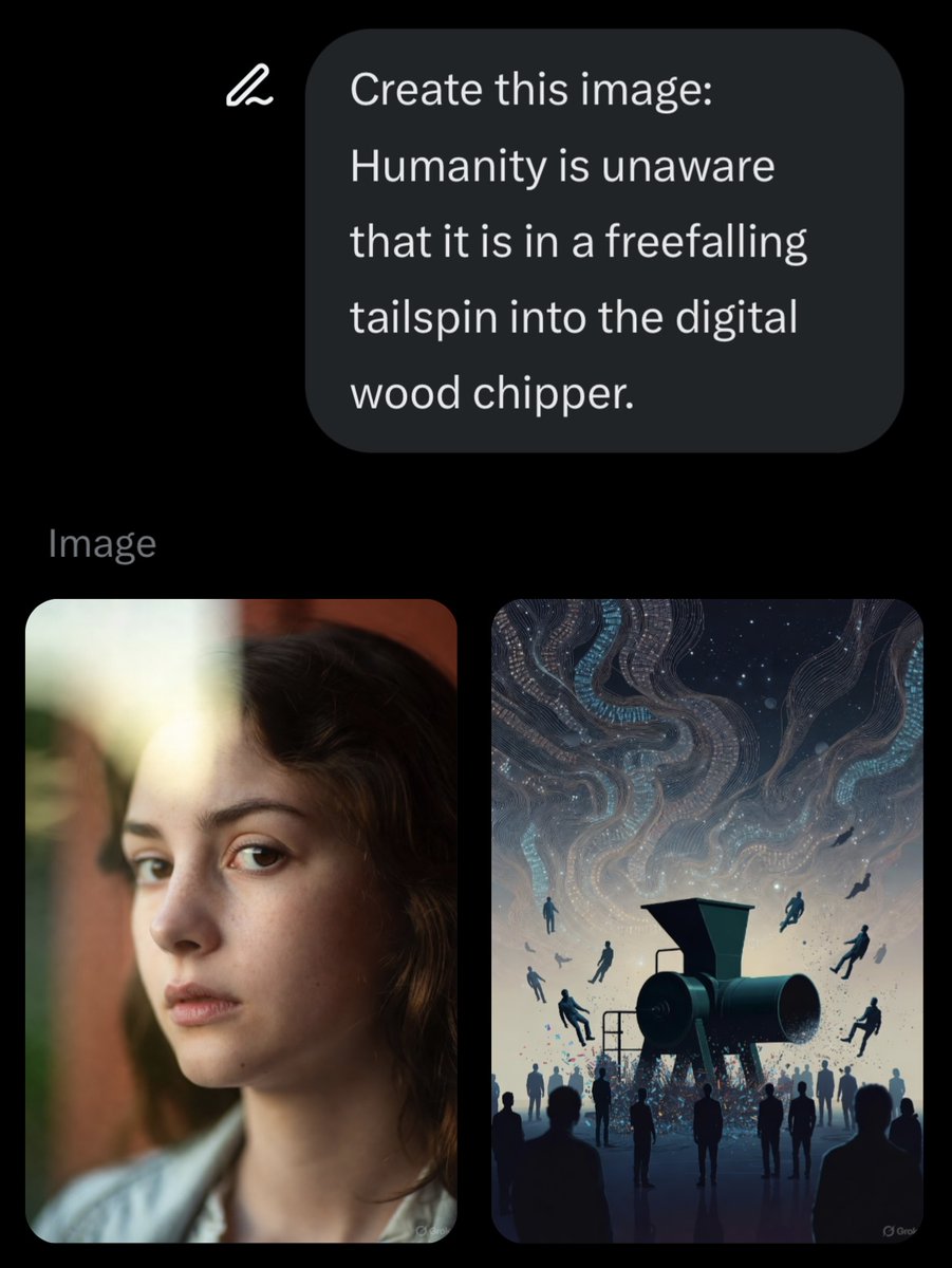 Grok doesn’t like this image request: “Humanity is unaware that it is in a free falling tail spin into the digital wood chipper”, or does AI find the query important?

The image on the left is interesting... Perhaps AI is telling us to use our third eye to see truth and trends