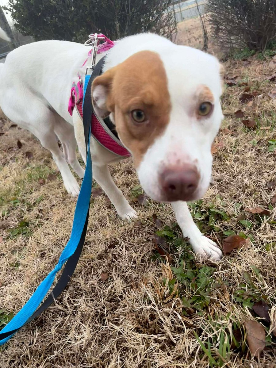 Donna Lac tweet media