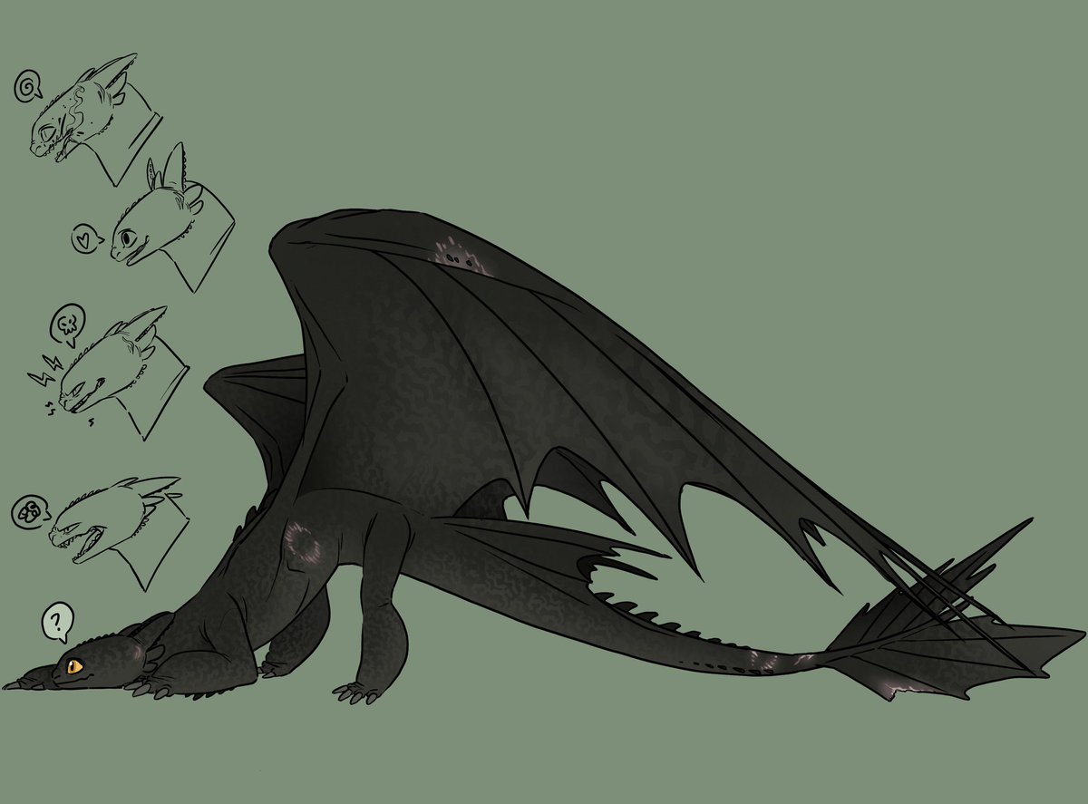 BlackHeichou's tweet photo. Another random Night Fury oc☕🌌

#httyd #howtotrainyourdragon #nightfuryoc #nightfurydrawing #nightfuryart #fanart #httydthehiddenworld #nightfury #oc #ocdrawing #ocart #owncharacter #owncharacterart https://t.co/8zsndONN5G