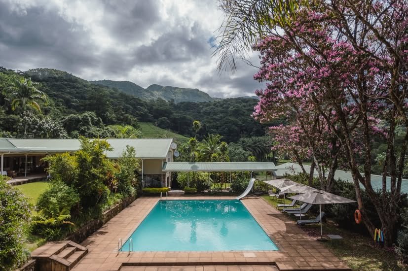 What more do you need?
Aberfoyle Honde Valley 🇿🇼.