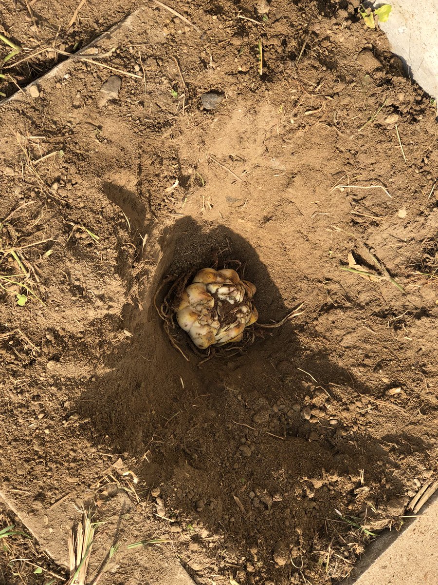 10時から小さい花壇を作って欲しいとの依頼で、①廃材を利用して完了