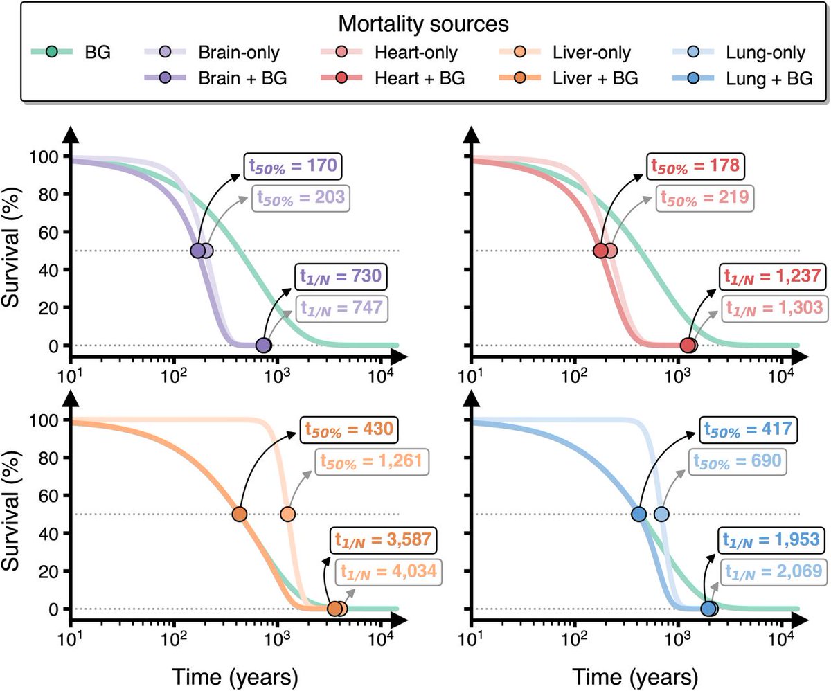 This is not joke.

A new longevity model suggests humans could potentially live 430 years 🤯!

Scientists have created a new aging research suggesting that our bodies might be built for far longer life than we actually experience.

In this model, most of our organs could keep
