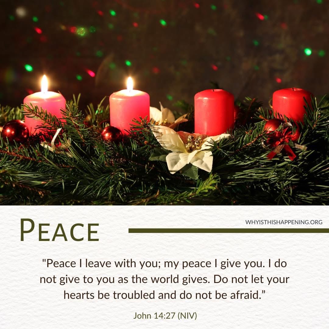 "Peace I leave with you; my peace I give you. I do not give to you as the world gives. Do not let your hearts be troubled and do not be afraid.” ~ John 14:27 (NIV)

whyisthishappening.org/videos/how-to-…
#withGOD #whyisthishappening #peace #howtoknowChrist #JesusLovesYou.