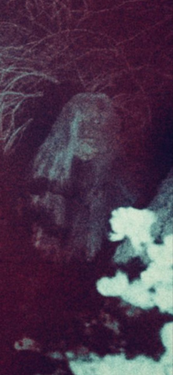 Dutch Marich tweet media