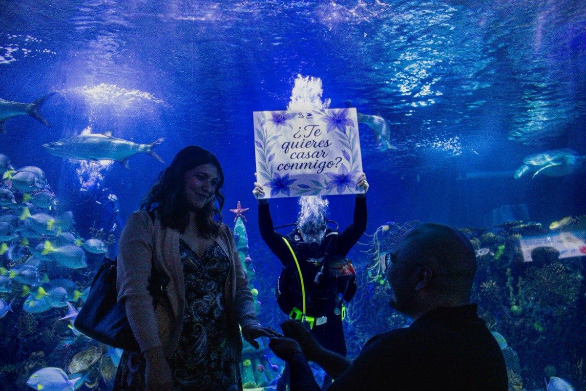 Ampere 🇲🇽 tweet media