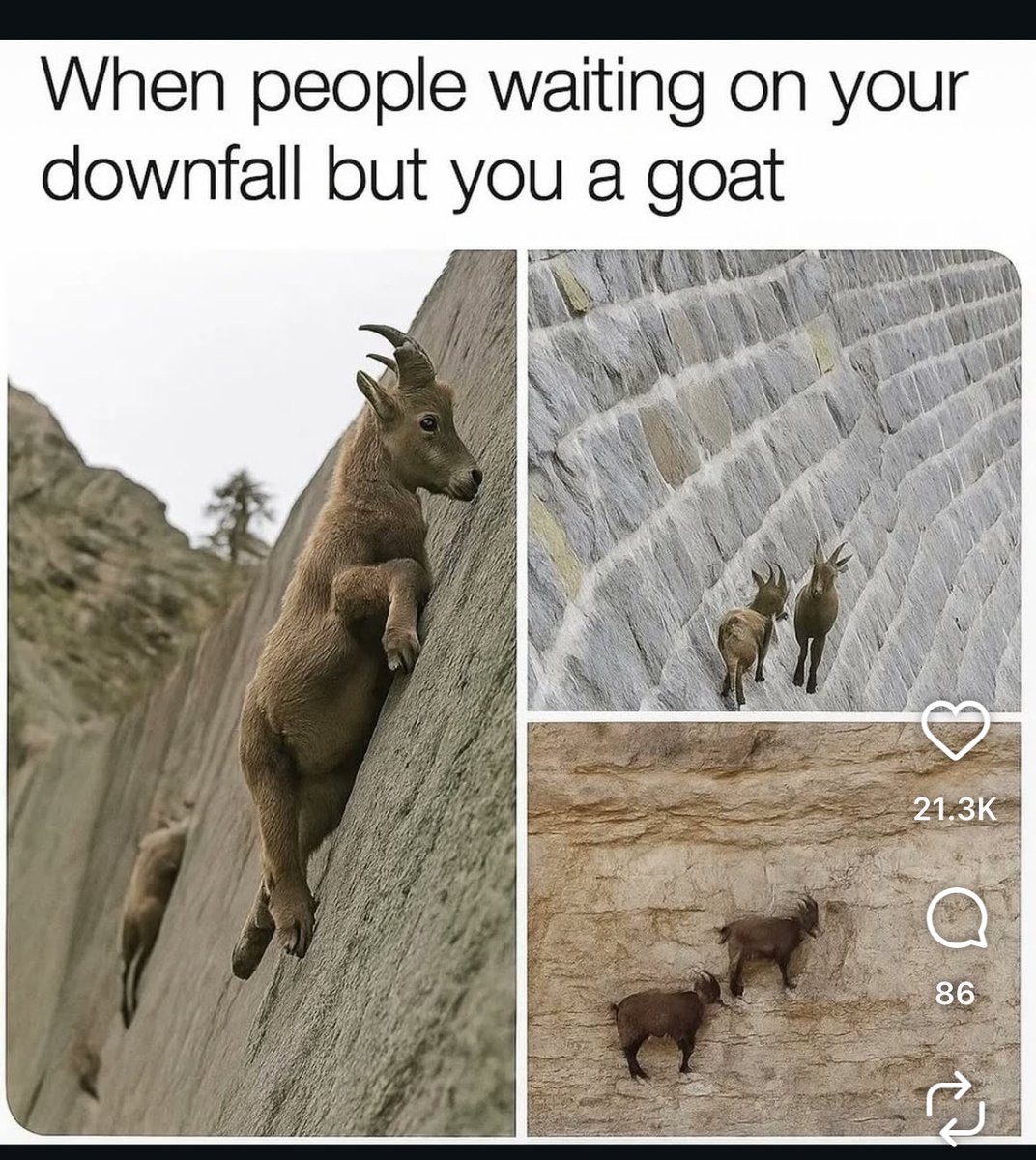 … I’m the year of the goat .., bytch!