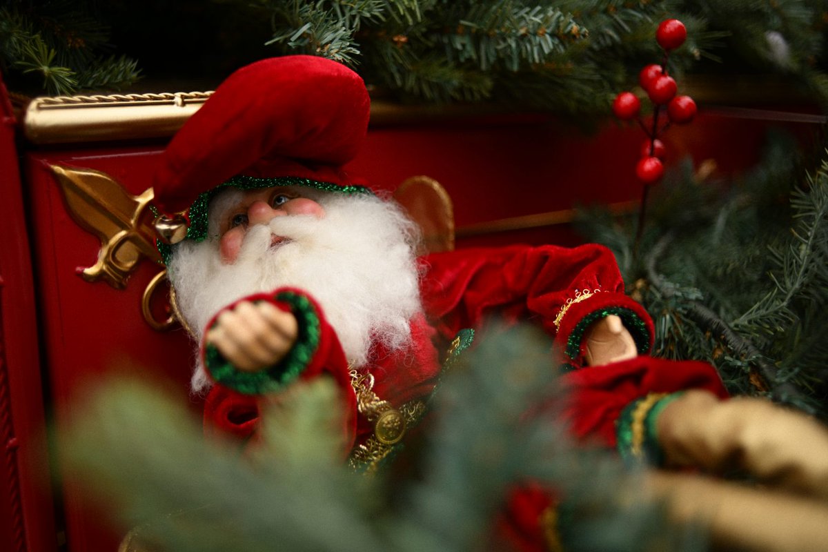 mapcamera's tweet image. いつもご愛顧ありがとうございます。

📕おすすめMapTimes 記事のご紹介

【MonsterAdapter】止まっていた時が動き出す。とあるオールドレンズを蘇らせた、「怪物」の物語。
news.mapcamera.com/maptimes/monst…

Nikon純正でも未だ販売されていない、ある意味では「偉業」を成しえたマウントアダプター。…