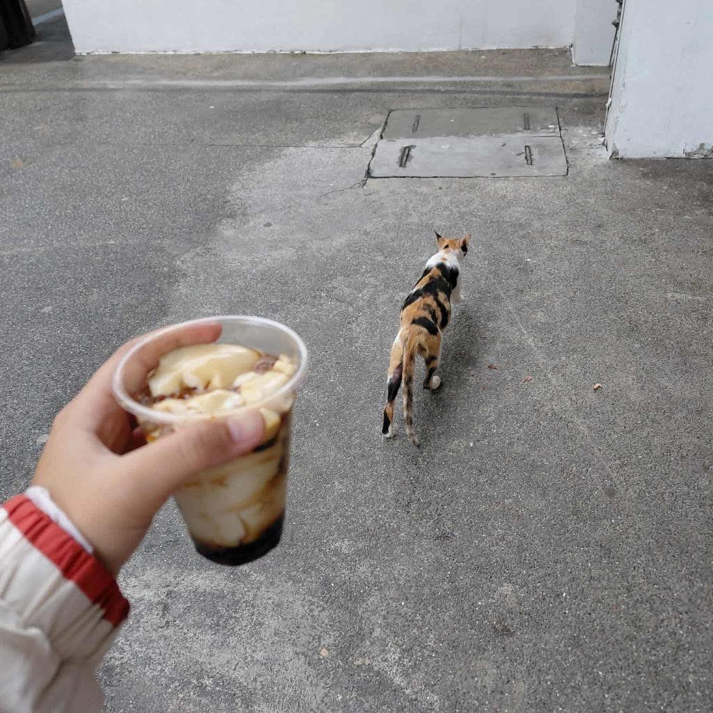 mga pusa sa daan tweet media
