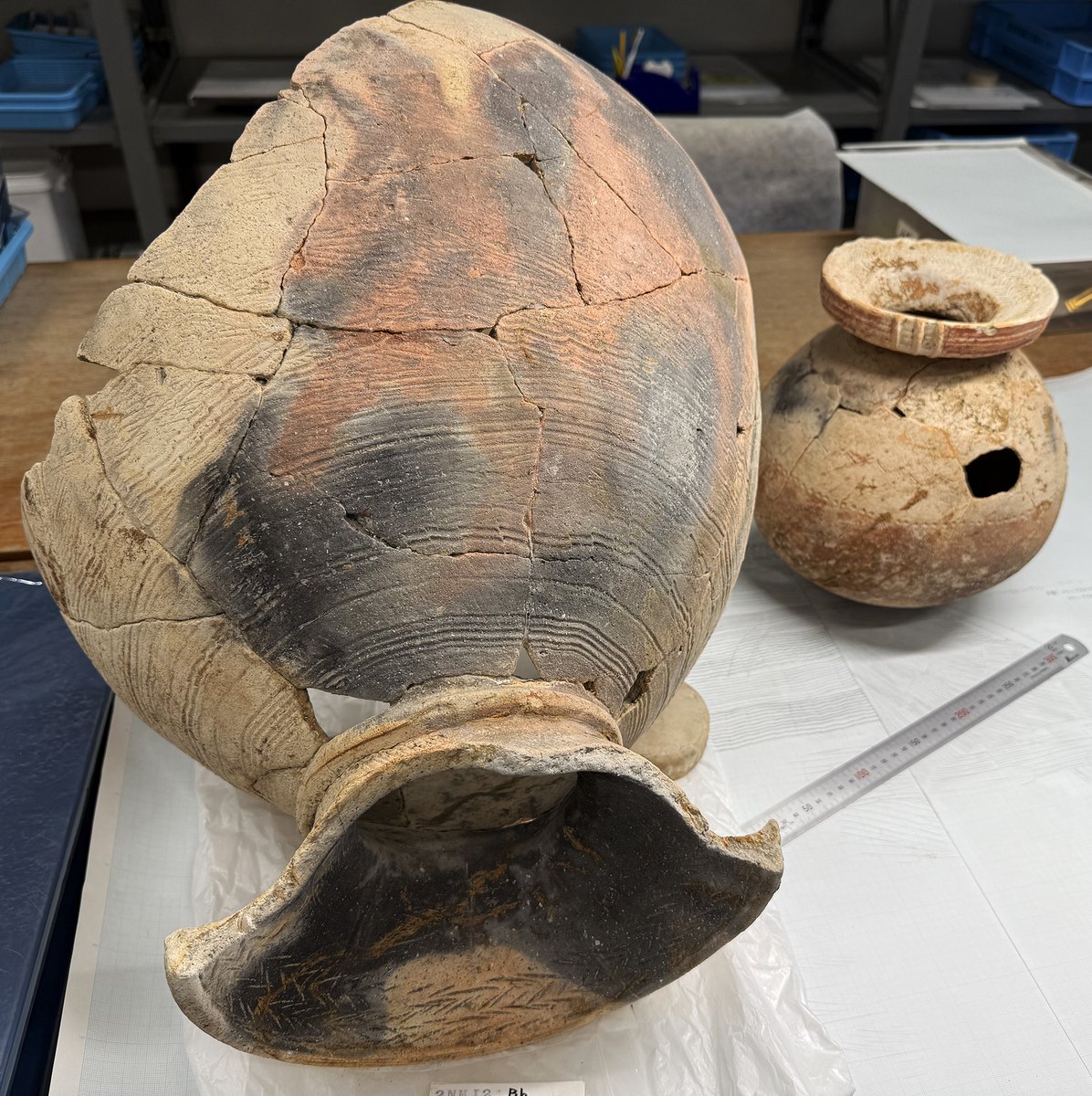 古墳時代前期の壺形土器を大きさで分けると、まれに「特大！」が