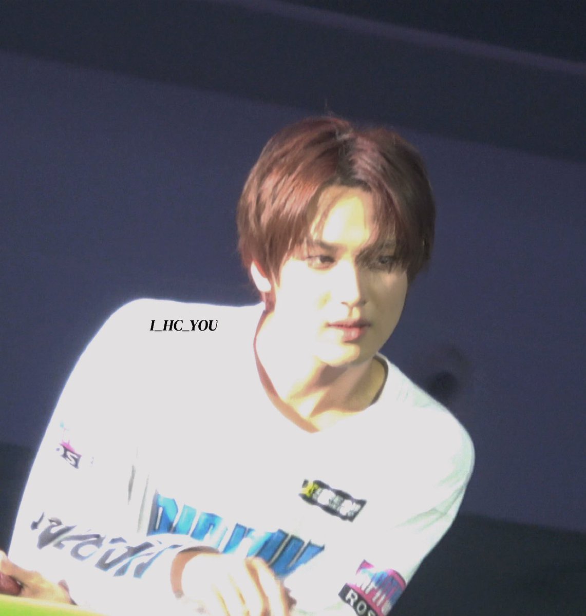 테디베어송아지계의 장국영