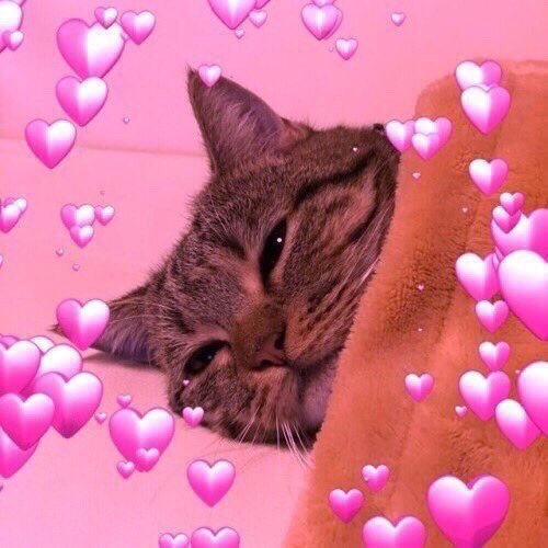 Itziholic's tweet image. nenes de mi corazón ✨️🫶🏻