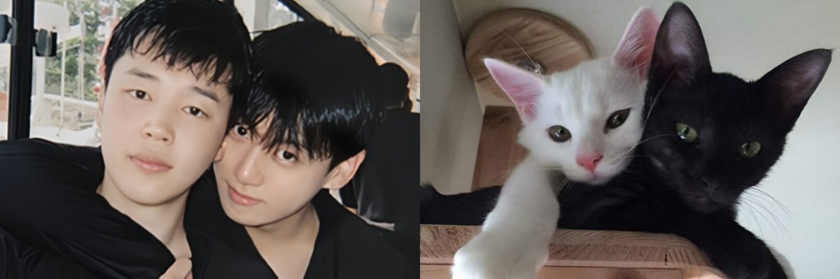 kmbrtz's tweet image. 