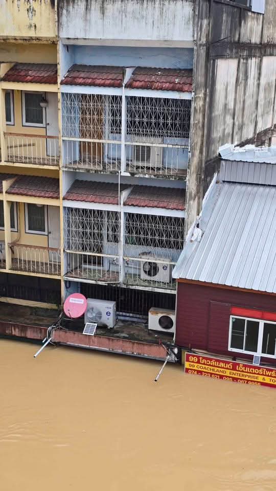 nanarazzii tweet media