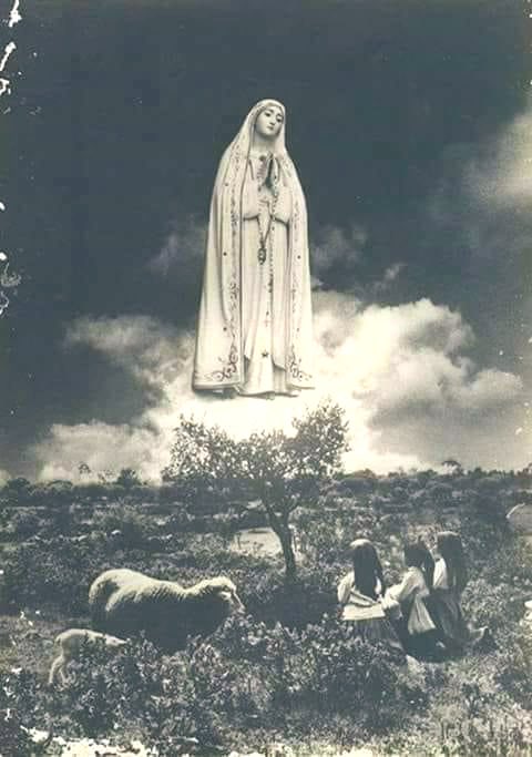 SkyVirginSon's tweet image. Our Lady of Fatima, drive away every spirit of darkness now.