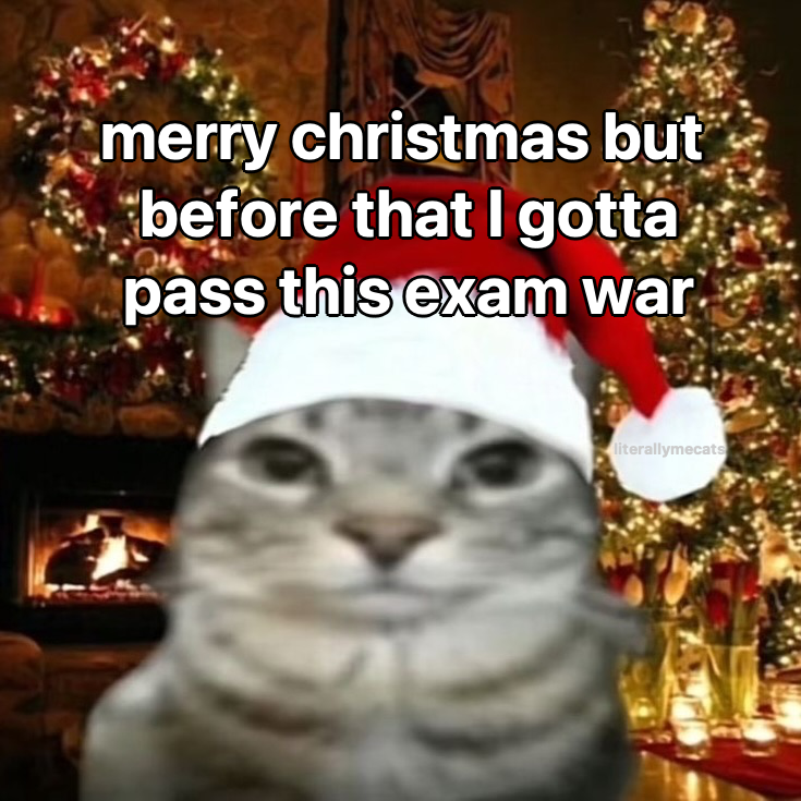 literallymecats's tweet image. 