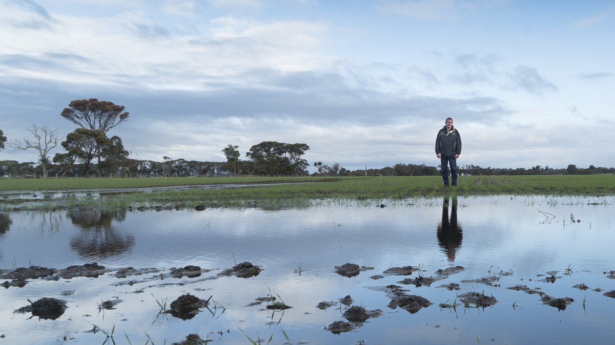 GRDC tweet media