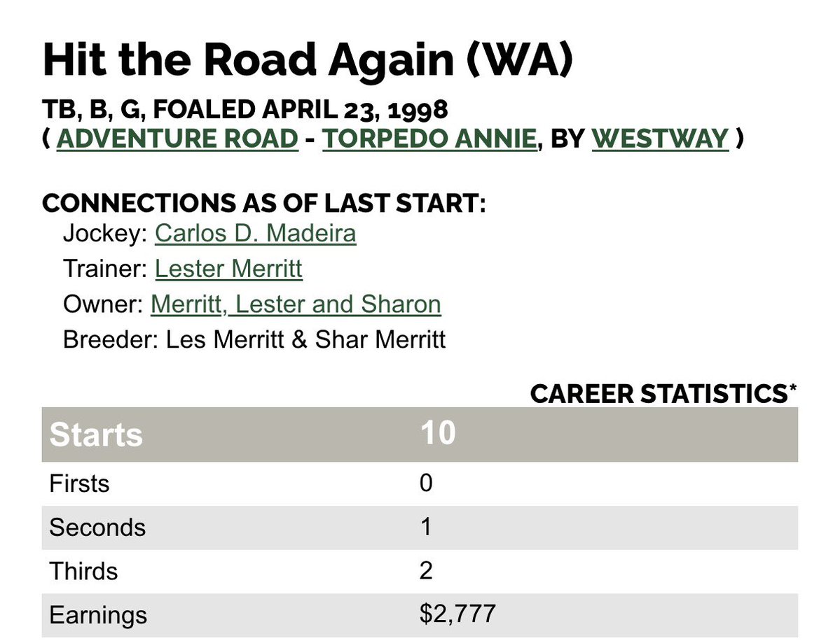 Look at his soft, kind eye… still trusting. 
He’s 27 years old. At an Oklahoma feed lot. Decades removed from his last race in New Mexico, but please consider helping him if you can. 🙏🏻