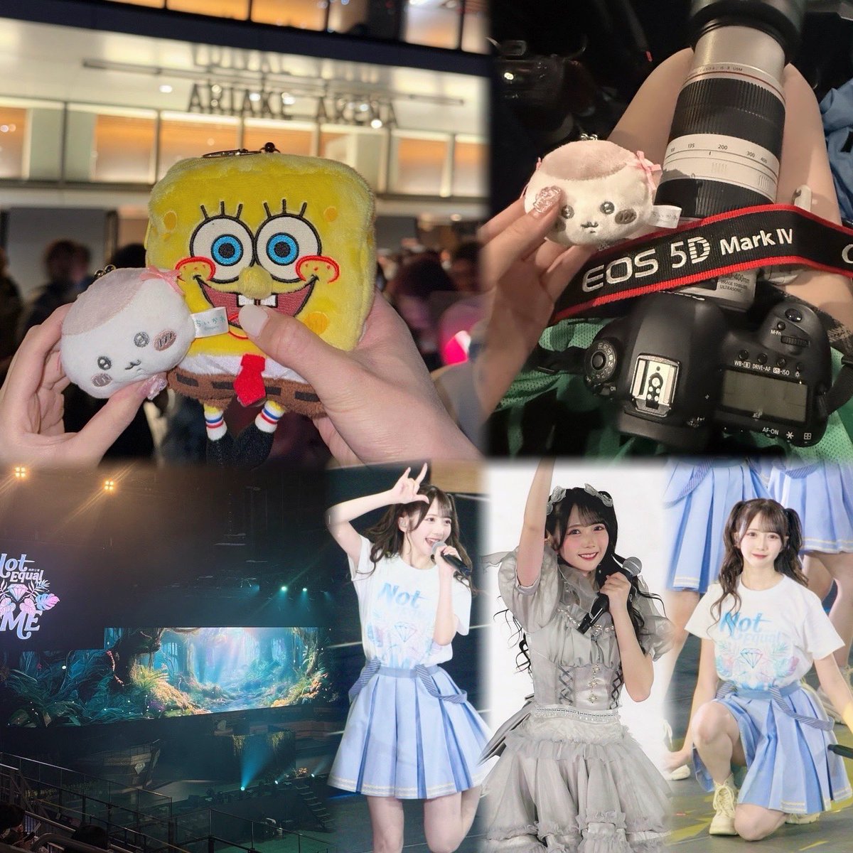 🤎251128 251129 #ノイミー特別公演2025 早耶ちゃんすーぱーあいどる