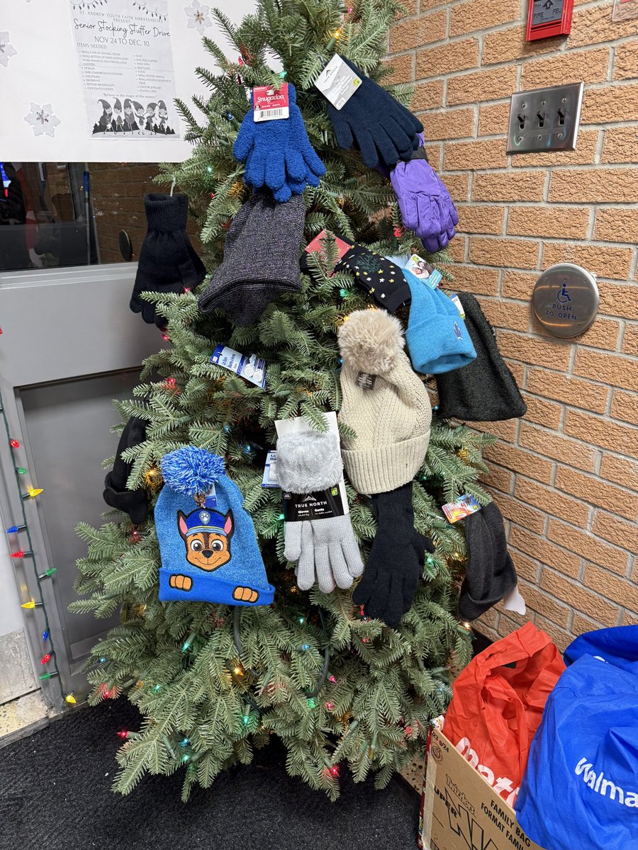 St. Andrew Catholic Elementary School tweet media