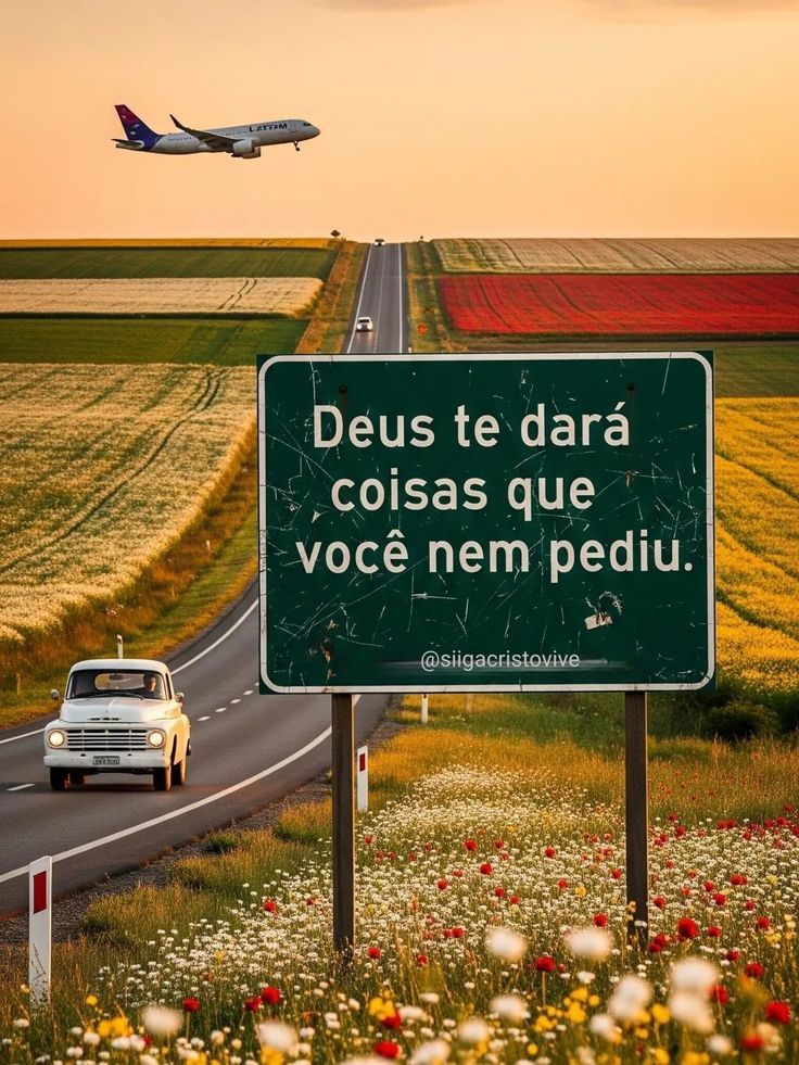 A Profecia! (@livrodaprofecia) on Twitter photo 