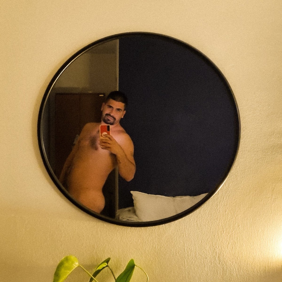 Elon Masc4Masc (@x4n4xdu) on Twitter photo 