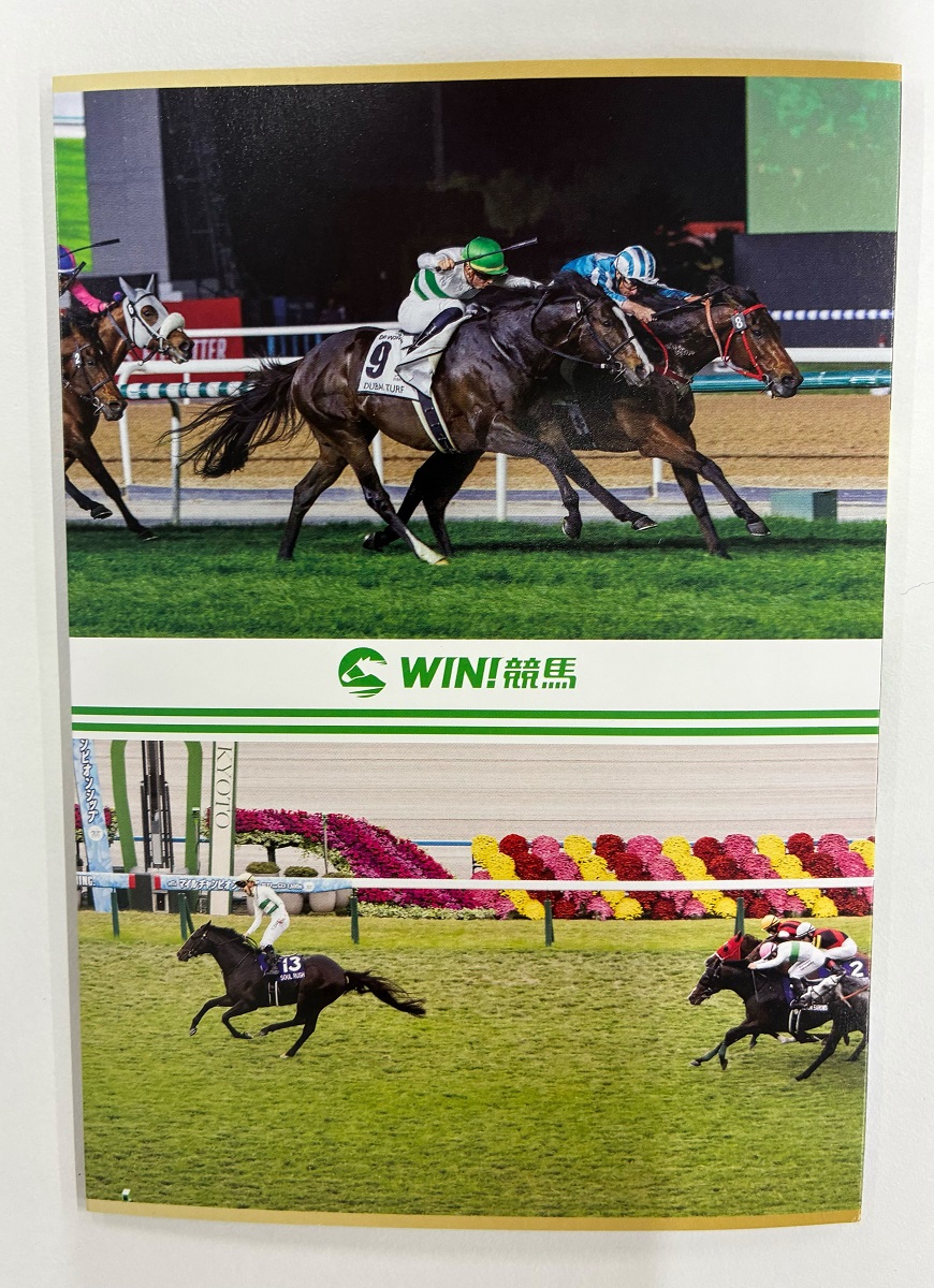 🎁お知らせ🎁 ＼ 今週は香港国際競走！ 24年マイルCS、25年