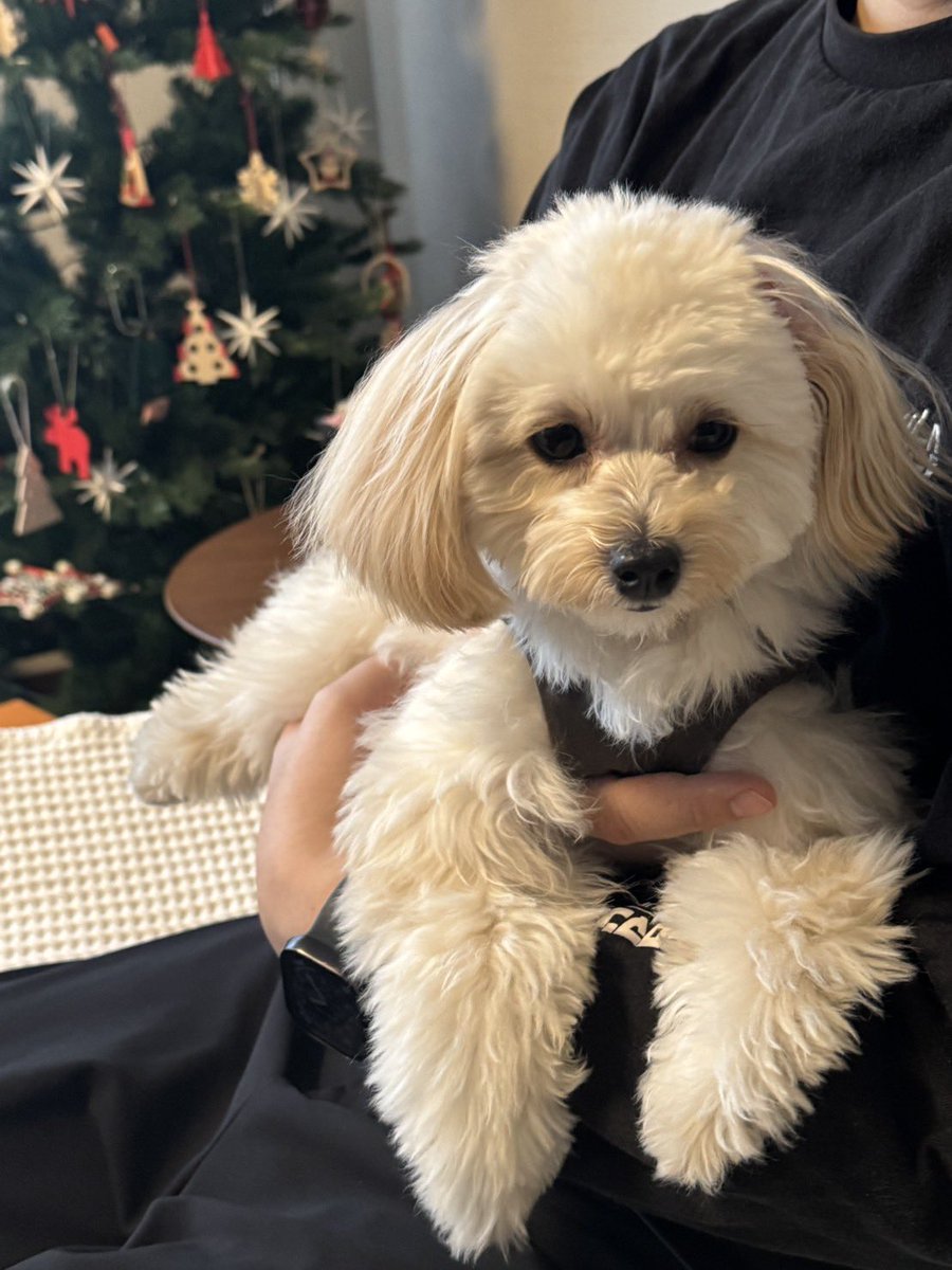 むぎ (@mugix0505) / Posts / X