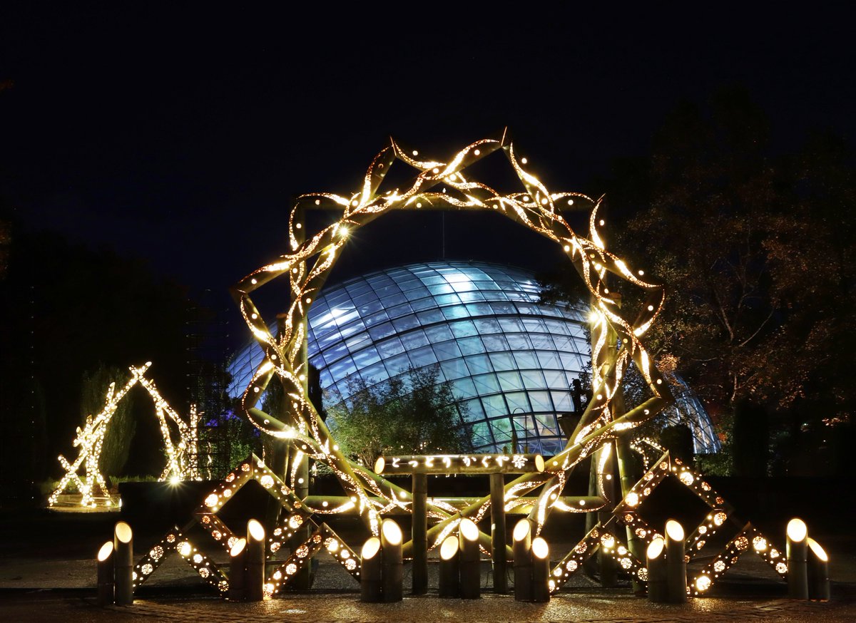 12/8(月)は #エフエム山陰 から。

鳥取県南部町のとっとり花回廊では
【フラワーイルミネーション2025】が開催中！
今年のテーマは『ディスカバリー～新たな魅力発見～』
100万球の光がもたらす花回廊の“新たな魅力”についてお届けします。
<a href="/tottorihana/">【公式】とっとり花回廊</a> 

tottorihanakairou.or.jp/event/page/win…
放送は14:40から！