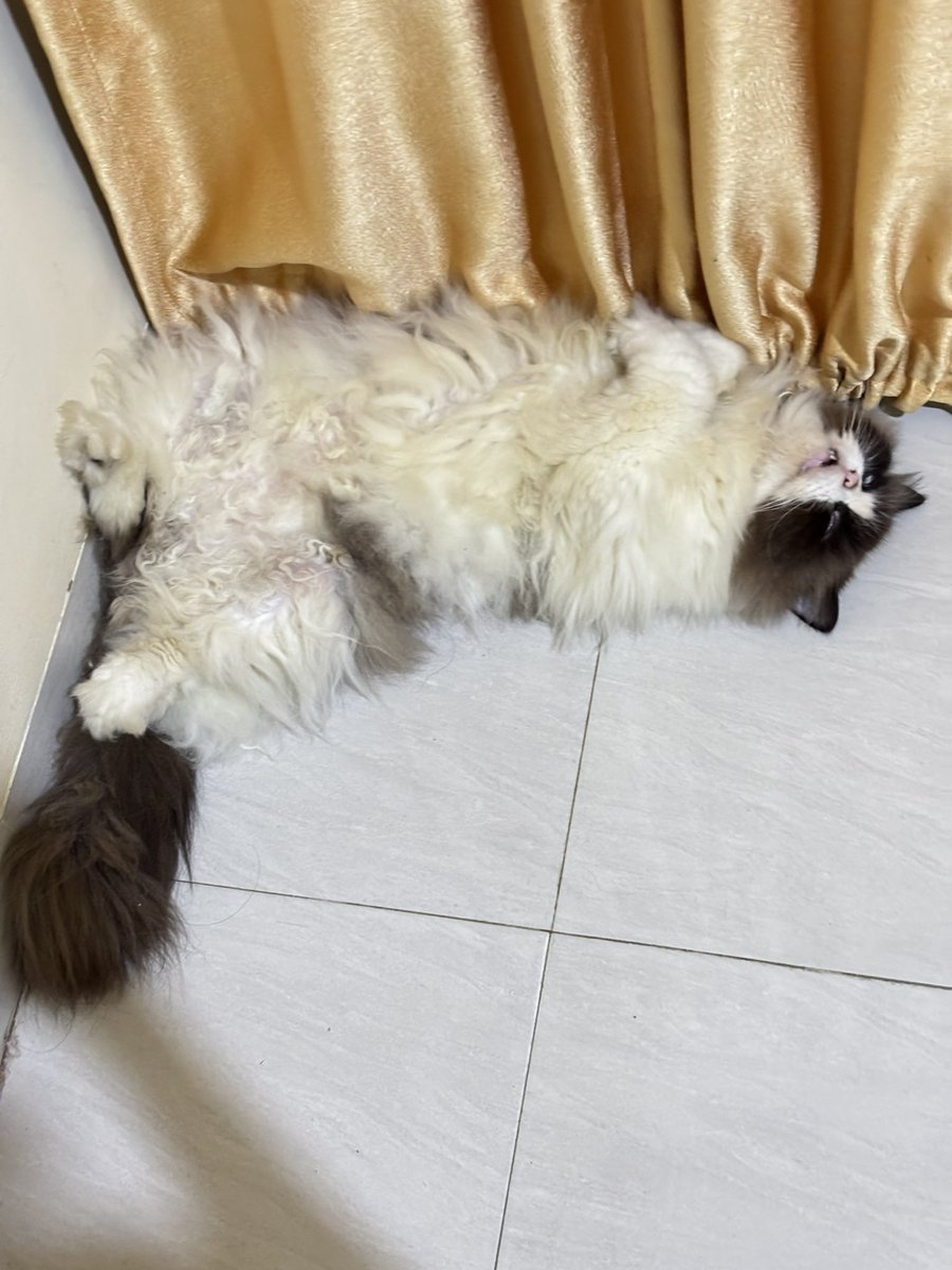 Udah siang bukannya bantuin mommy malah masih bobo ckckckkk