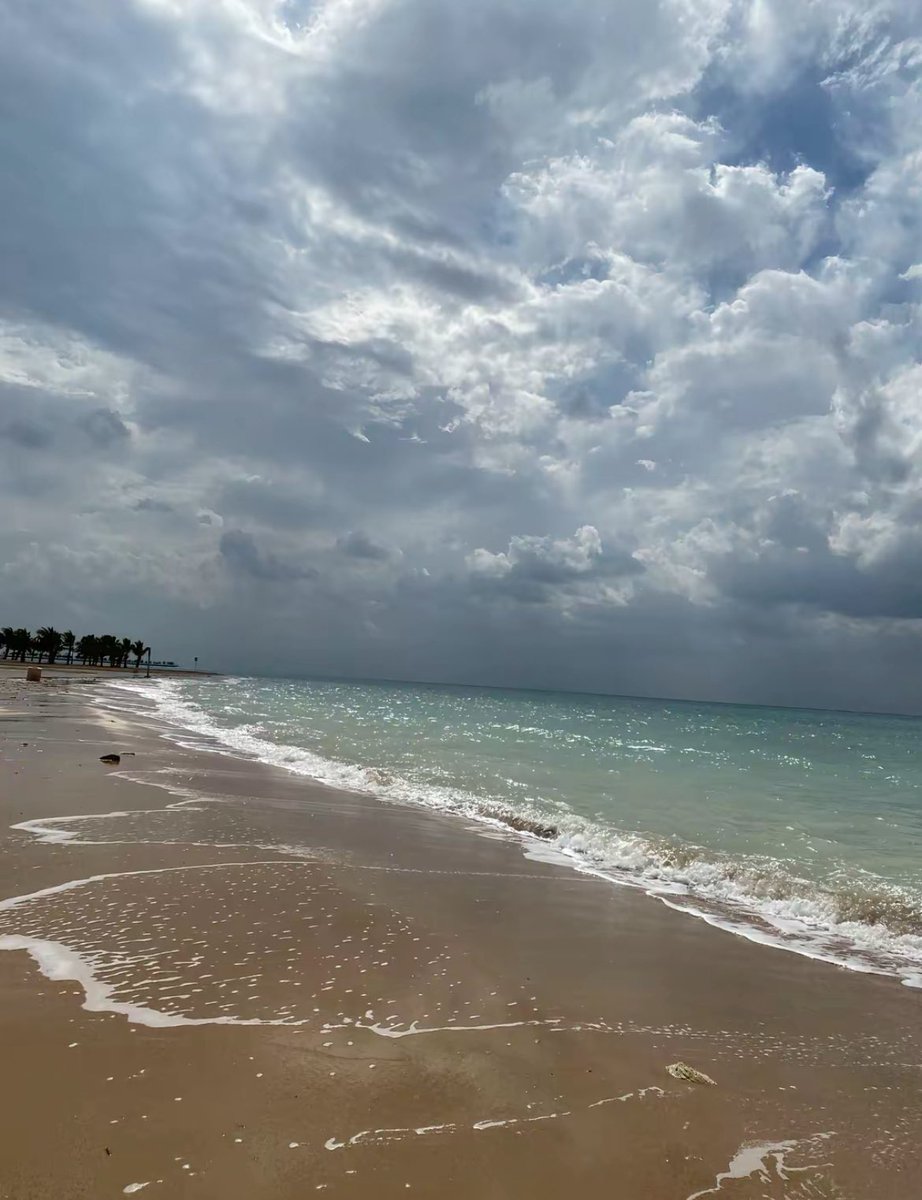 11jlzs's tweet image. ينبُع بالشتاء ❣️