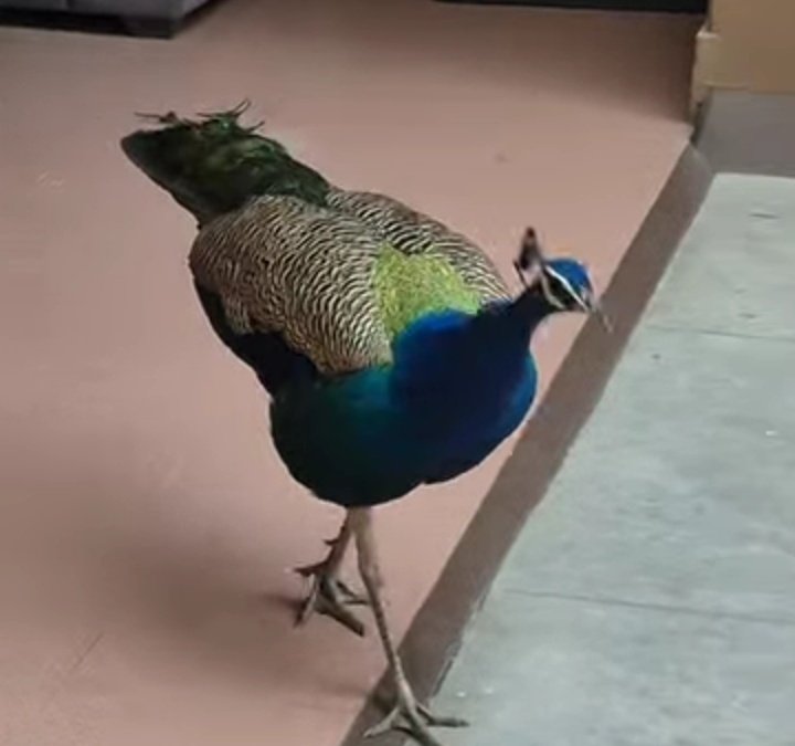 #सुप्रभात_जिंदगी #जय_श्री_राम 
हर हर महादेव काशी विश्वनाथ की जय हो ❤️